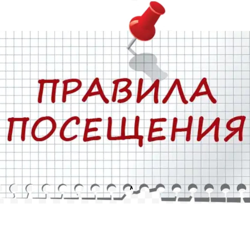 https://yandex.ru/images/search?from=tabbar&amp;img_url=https%3A%2F%2Fscontent-hel3-1.cdninstagram.com%2Fv%2Ft51.2885-15%2Fe35%2F53022151_134393410941771_480803648153984564_n.jpg%3F_nc_ht%3Dscontent-hel3-1.cdninstagram.com%26_nc_cat%3D103%26_nc_ohc%3D8Jh_F6QM.